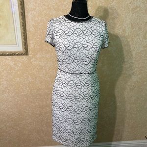 ADRIANNA PAPELL White n Black Print Dress Size 6